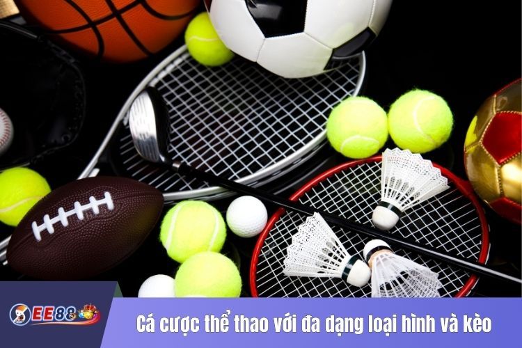 Cá cược thể thao với đa dạng loại hình và kèo