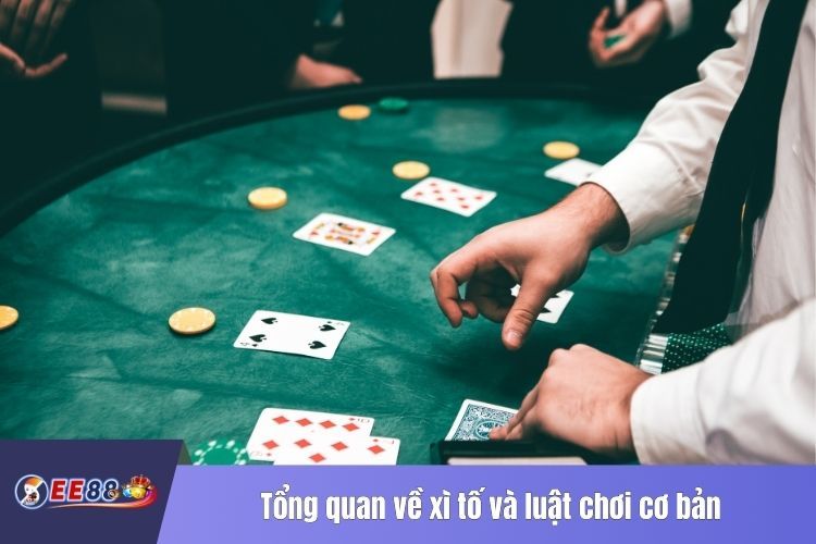 Tổng quan về xì tố và luật chơi cơ bản