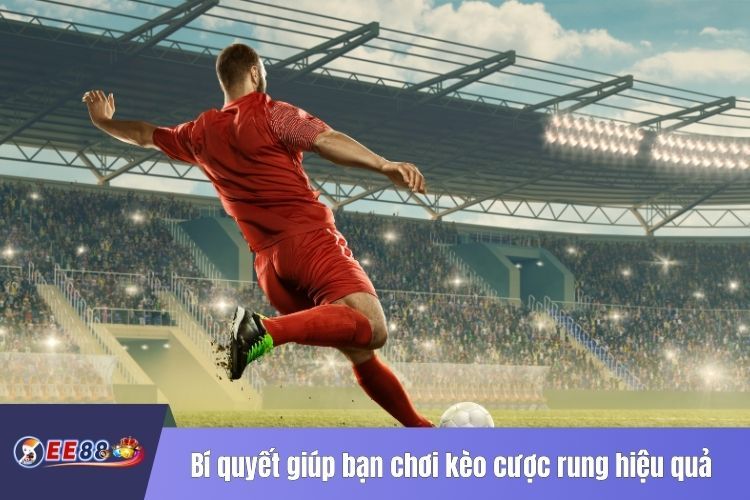 Bí quyết giúp bạn chơi kèo cược rung hiệu quả